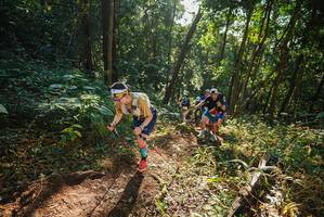 BIB: 
                            <button type="button" onclick="openModal(22548398)" class="btn btn-primary btn-sm float-right btn-popup" data-toggle="modal" data-target=".modal-high-quality">
                        <i class="fas fa-shopping-cart"></i> Add to Cart
                    </button>
                                            <button type="button" onclick="isThisMe(22548398, true)" class="btn btn-success btn-sm float-right btn-popup btn-isme hidden" data-toggle="tooltip" data-placement="bottom" title="นี่คือรูปของคุณใช่ไหม คลิกที่นี่เพื่อเอาเข้าอัลบั้ม">
                        <i class="fas fa-plus"></i> Add to album
                    </button>
                    <button type="button" onclick="isThisMe(22548398, false)" class="btn btn-warning btn-sm float-right btn-popup btn-isnotme hidden">
                        <i class="fas fa-ban"></i> Remove from album
                    </button>